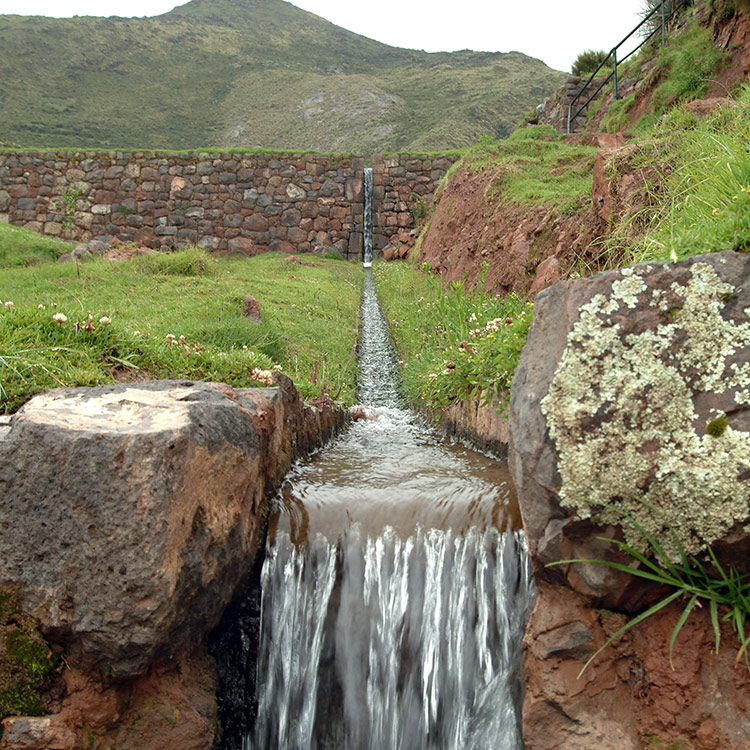 Tipón