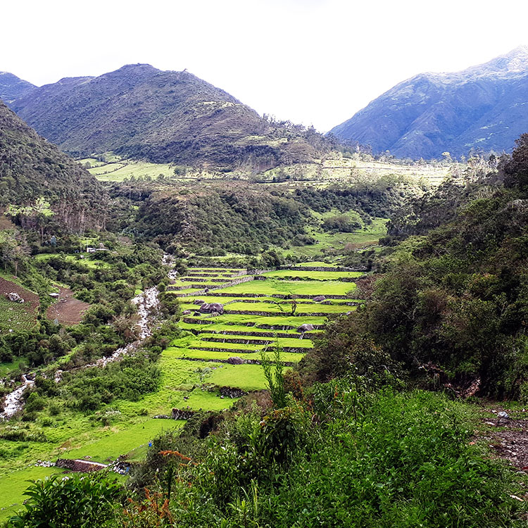 Vilcabamba